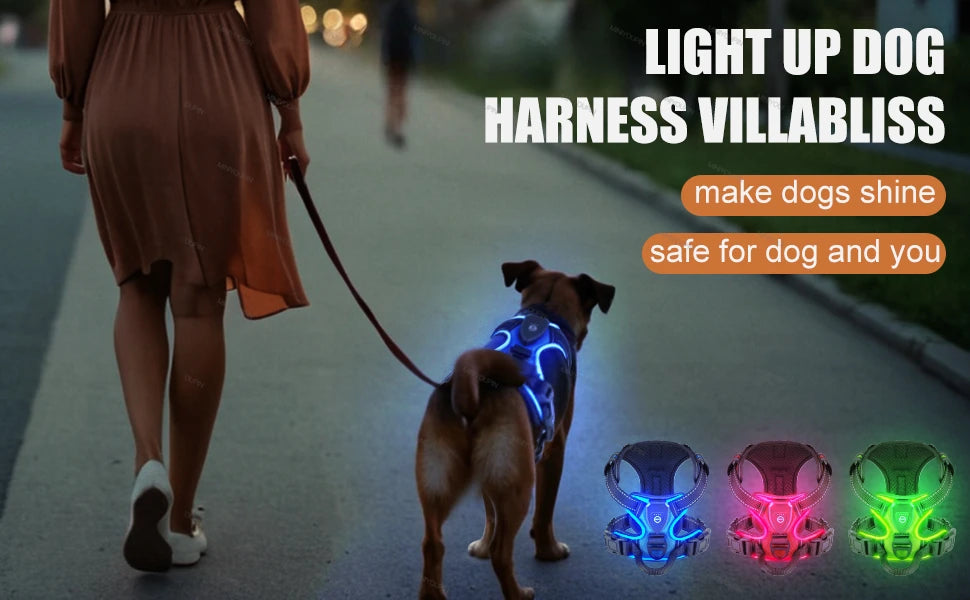 GlowPup Harness Multi