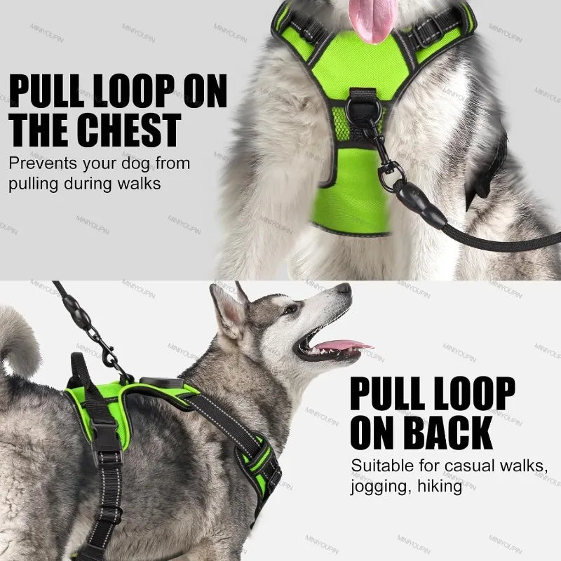 GlowPup Harness-Green