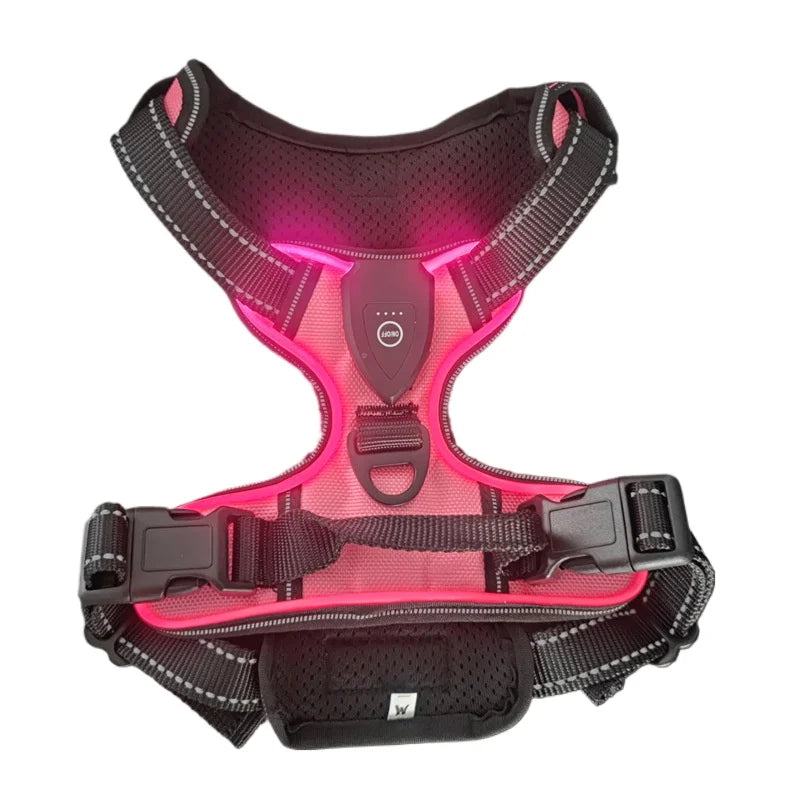 GlowPup Harness Multi