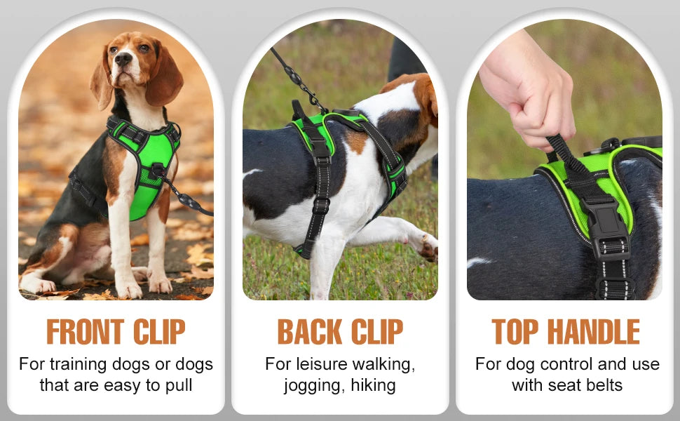 GlowPup Harness-Green